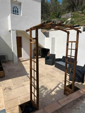 Studio sur un domaine d'oliviers